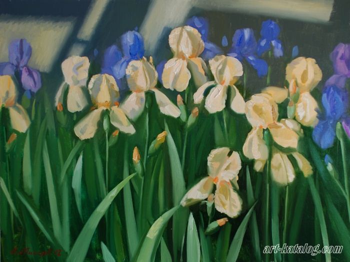 Iris pale beige