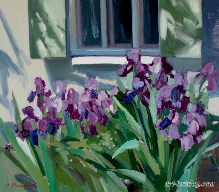 Purple irises in the window in the garden
