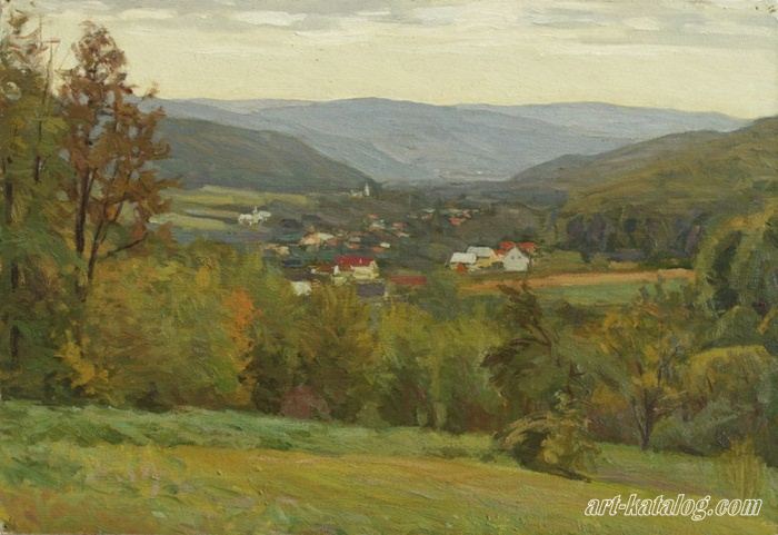 The village in the Carpathians