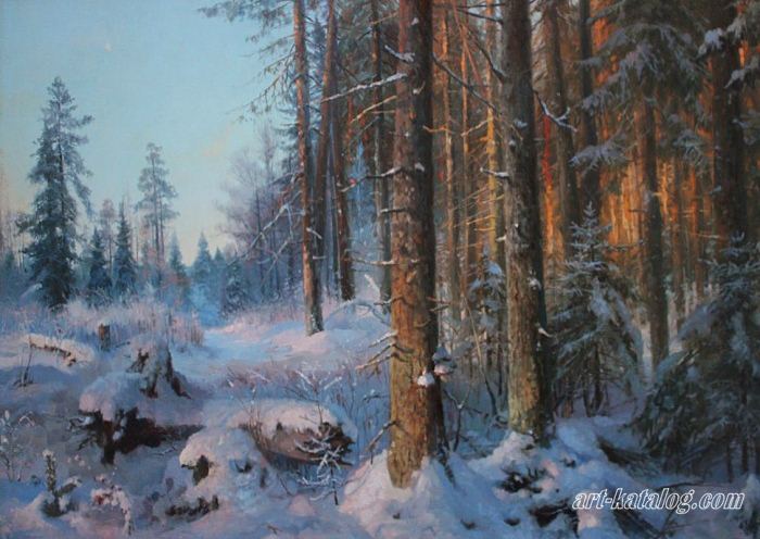 Pine Forest in Siverskaya