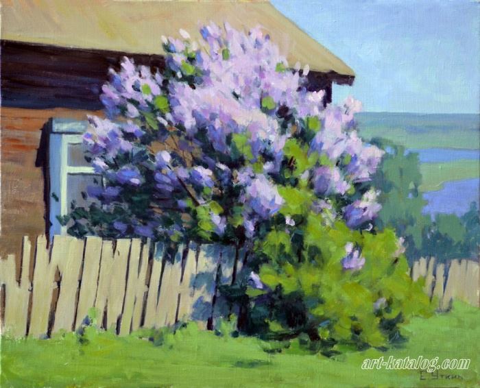 When the lilacs bloom