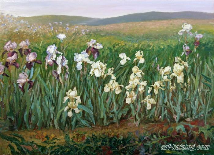 Iris field
