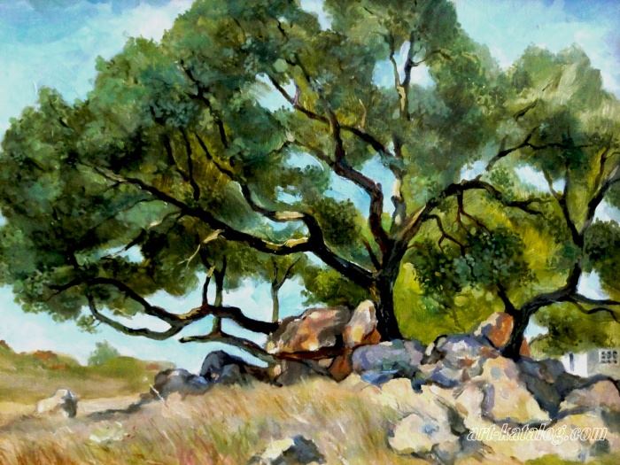Crimean oak from stones