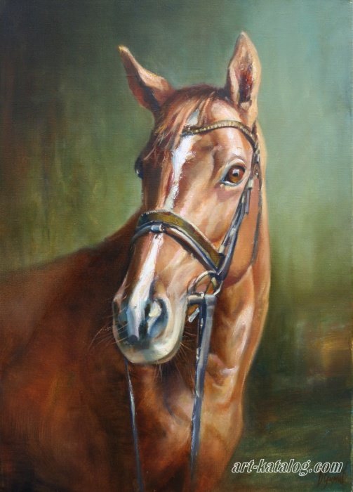 Портрет коня на зеленом фоне