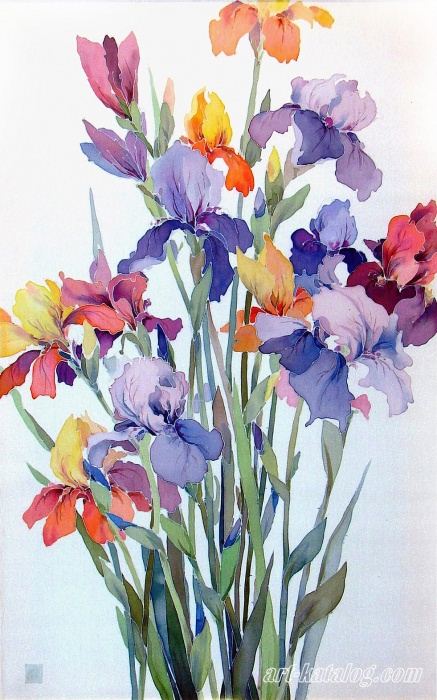 Irises on white