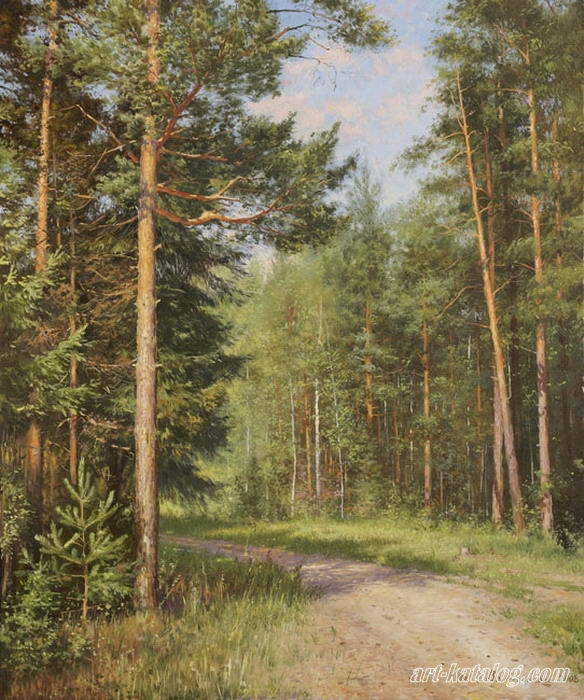 Road in the forest