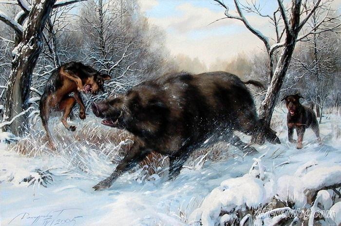 Wild boar attack