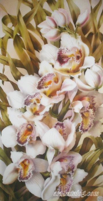 Cymbidium orchid