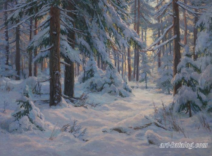 Winter in the spruce forest