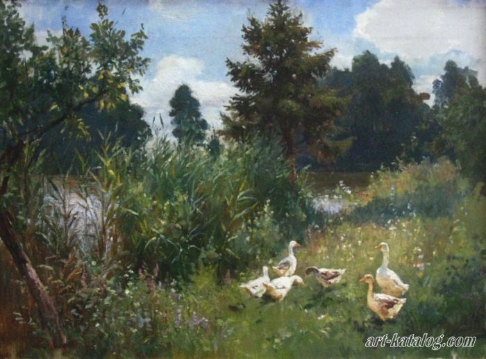 Sunny day. Geese