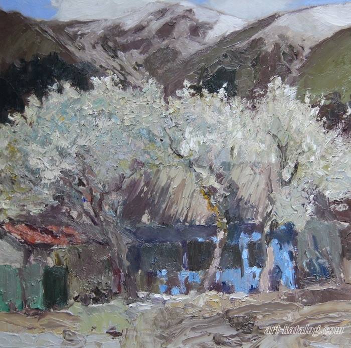 Spring in the mountains