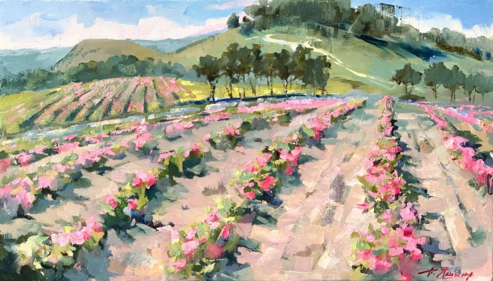 Розовое поле