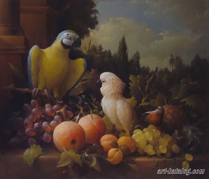 Fruit & parrot