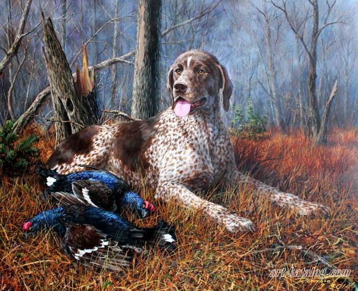 German Wirehaired Pointer with black-cocks