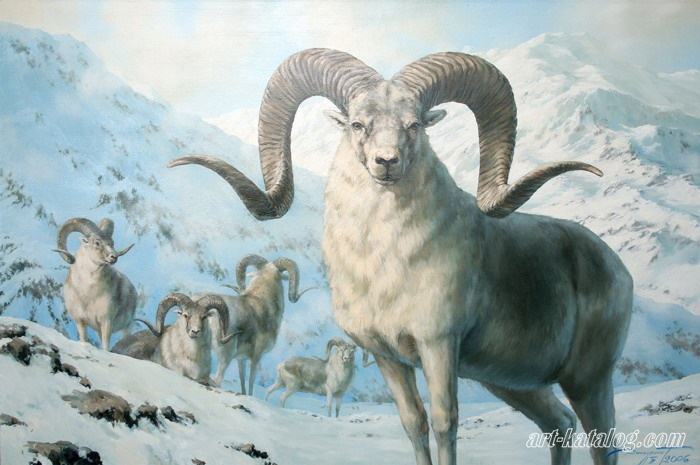 Marco Polo sheep
