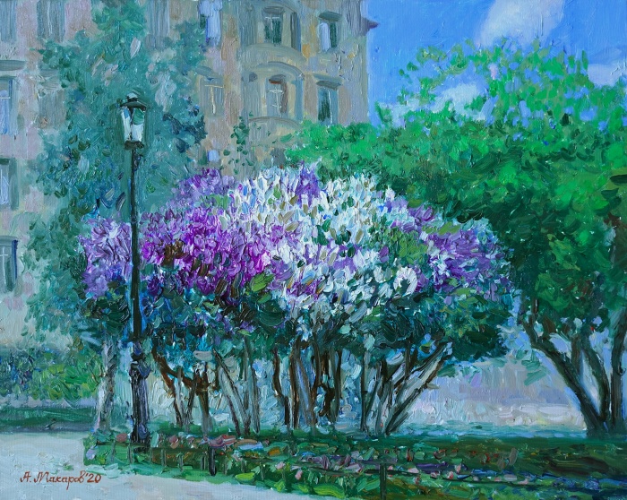 Lilac bush on Petrogradka